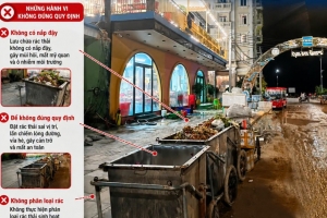 Đặc khu Cô Tô xử phạt cơ sở kinh doanh vi phạm trong lĩnh vực môi trường