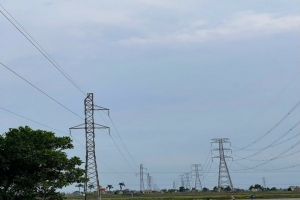 Hoàn thành đóng điện giai đoạn 3 Dự án Cải tạo Đường dây 110kV Nam Ninh - Nghĩa Hưng