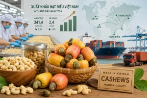 Ngành điều chuyển hướng tạo giá trị, giảm phụ thuộc vào tăng sản lượng
