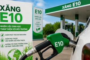 Hà Nội siết quy trình kiểm soát xăng E10 trên toàn địa bàn