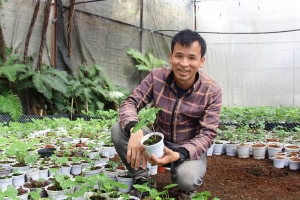 Chàng trai trẻ đưa "vàng xanh" Nhật Bản bén rễ dưới chân núi Lang Biang