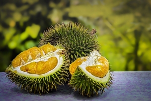 Giá sầu riêng hôm nay 23/7: Thị trường biến động