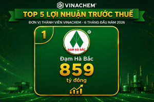 Đạm Hà Bắc: Hiệu quả kinh doanh tạo đòn bẩy cho thương hiệu phát triển bền vững