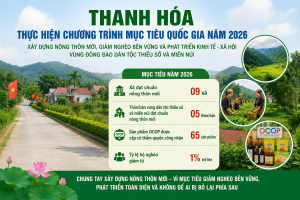 Thanh Hóa chuyển trọng tâm xây dựng nông thôn mới sang nâng chất và tạo sinh kế bền vững