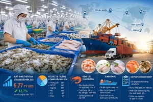 Xuất khẩu thủy sản trước "luật chơi" mới: Tăng trưởng thôi chưa đủ