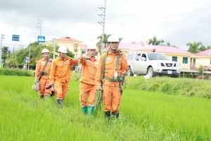 Điện lực Điện Biên chủ động phương án bảo đảm an toàn hệ thống lưới điện mùa mưa bão