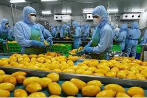 Mỹ đẩy mạnh thúc đẩy xuất khẩu nông sản sang Việt Nam