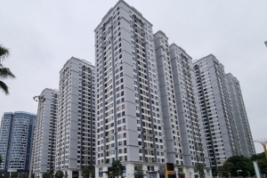 Đề xuất phát triển nhà thương mại giá phù hợp, khoảng 40 - 50 triệu đồng/m² tại Hà Nội