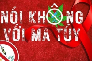 Thành lập Ban Chỉ đạo Trung ương Chương trình mục tiêu quốc gia phòng, chống ma túy