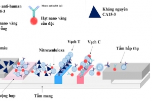 VKIST phát triển nền tảng que thử nhanh thế hệ mới