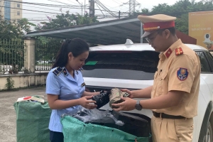 Ninh Bình siết chặt quản lý vận tải hàng hóa, ngăn chặn buôn lậu và hàng giả