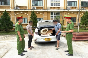 Lào Cai: Công an xã Văn Bàn xử lý 2 trường hợp mua, vận chuyển lâm sản trái pháp luật