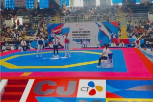 CJ Group tổ chức Giải Taekwondo Quốc tế G1 - "CJ Vietnam Open"