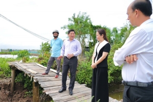 Cà Mau: Rà soát kênh rạch, ưu tiên thủy lợi cho vùng nuôi thủy sản