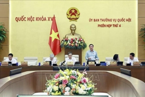 Đổi mới tư duy xây dựng pháp luật và cải cách tư pháp trong giai đoạn mới