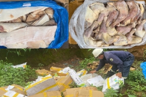 Gia Lai: Tiêu hủy gần 1 tấn thịt heo và đùi gà đông lạnh bốc mùi, không rõ nguồn gốc