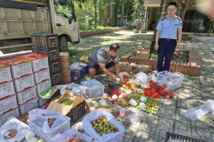 Thái Nguyên: Chặn đứng 3 xe tải chở hoa quả, thực phẩm nhập lậu