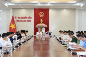 Quảng Ninh: Đề xuất đầu tư Dự án Đô thị du lịch ven biển thế hệ mới tại Vân Đồn