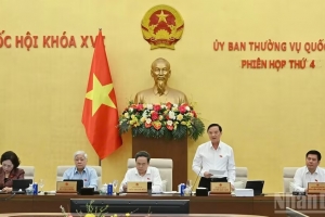 Tạo lập khuôn khổ pháp lý ổn định, đột phá và khả thi thúc đẩy phát triển Thành phố Hồ Chí Minh và các đô thị đặc biệt