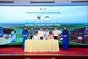 Kết nối chuỗi giá trị lâm nghiệp, thúc đẩy quản lý rừng bền vững tại Trung Trường Sơn