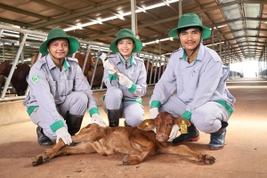 KLH Koun Mom (Thaco Agri): Bệ phóng cho sinh viên Trường Đại học Nông nghiệp Hoàng Gia Campuchia