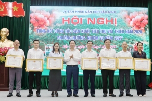 Vải thiều Bắc Ninh tiếp tục khẳng định chất lượng và thương hiệu tại thị trường trong nước và quốc tế