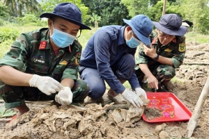 An Giang: Quy tập được 3 bộ hài cốt liệt sĩ từ thông tin người dân và cựu chiến binh cung cấp