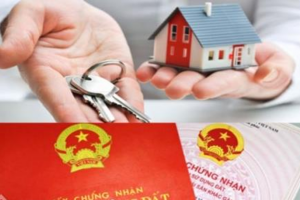 Không đăng ký biến động đất đai bị phạt đến 3 triệu đồng từ ngày 31/8