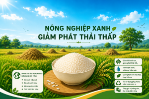 Giảm phát thải: "Tấm vé" để nông sản Việt gia nhập chuỗi giá trị toàn cầu