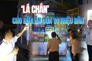 Những người giữ an toàn cho bữa ăn của 14 triệu dân TP.HCM - Kỳ 3: Kiên quyết không để heo nhiễm chất cấm lên bàn ăn