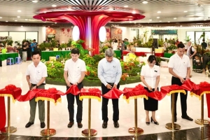 Đà Nẵng: Khai mạc Không gian trưng bày thương hiệu Sâm Ngọc Linh và Dược liệu quốc tế