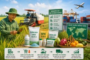 Giữ ổn định chi phí sản xuất nông nghiệp: Điều hành giá gắn với mở rộng thị trường tiêu thụ