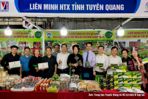 Hội chợ HTX miền Bắc 2026: Tạo "điểm hẹn" kết nối chuỗi giá trị và mở rộng đầu ra cho sản phẩm Việt