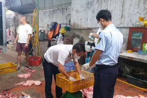 Chuyển cơ quan điều tra vụ gần 1 tấn thịt lợn nghi nhiễm dịch tả lợn châu Phi