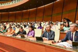 Trình Quốc hội cơ chế đặc thù xử lý vi phạm liên quan kinh tế Nhà nước, kinh tế tư nhân