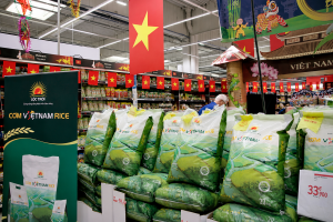 Giữ vững vị thế xuất khẩu trong bối cảnh cạnh tranh mới