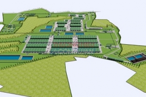 Gia Lai: 515 tỷ đồng đầu tư xây dựng Nhà máy sản xuất thức ăn chăn nuôi