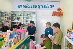 Hải Phòng: Thành lập Đoàn kiểm tra liên ngành đối với các cơ sở hành nghề y, dược tư nhân tại xã An Khánh