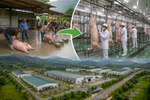 Lào Cai quy hoạch lại hệ thống giết mổ, tiến tới xóa bỏ các điểm giết mổ tự phát