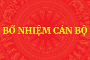 Quy định mới về 6 trường hợp không bổ nhiệm công chức lãnh đạo, quản lý từ tháng 8