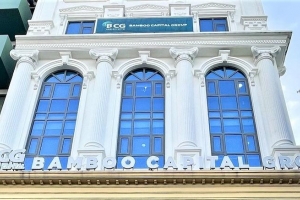 Bamboo Capital mất tư cách công ty đại chúng