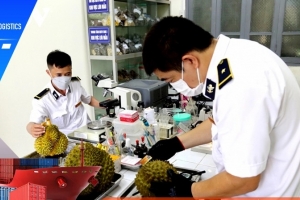 Lạng Sơn ban hành quy trình kiểm dịch y tế tại cửa khẩu thông minh Hữu Nghị