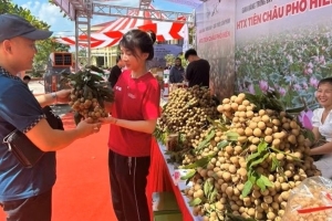 Hưng Yên tổ chức xúc tiến thương mại tiêu thụ nhãn
