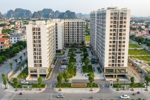 Ninh Bình phê duyệt chủ trương đầu tư dự án nhà chung cư cho thuê tại phường Nam Định