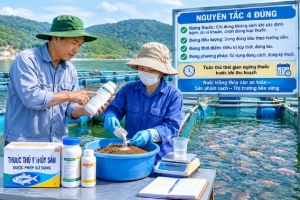 Lâm Đồng siết kiểm soát kháng sinh trong thủy sản để giữ vững thị trường