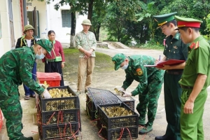 Lạng Sơn: Liên tiếp bắt giữ các vụ vận chuyển gia cầm giống và thực phẩm nhập lậu qua biên giới