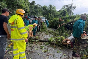 Mưa lớn gây gãy cây, sạt lở trên các tuyến đèo ở Lâm Đồng