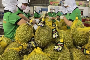 Nâng chuẩn thị trường hàng hóa bằng dữ liệu và quản trị rủi ro