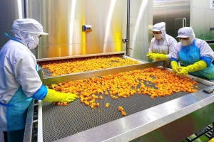 Rau quả Việt bứt phá tại EU, hướng tới những cột mốc mới