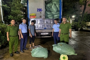 Quảng Ninh: Thu giữ hơn 8,7 tấn chân gà không rõ nguồn gốc